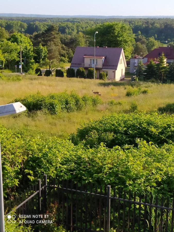 Apartmán Mocik Jastrzębia Góra Exteriér fotografie
