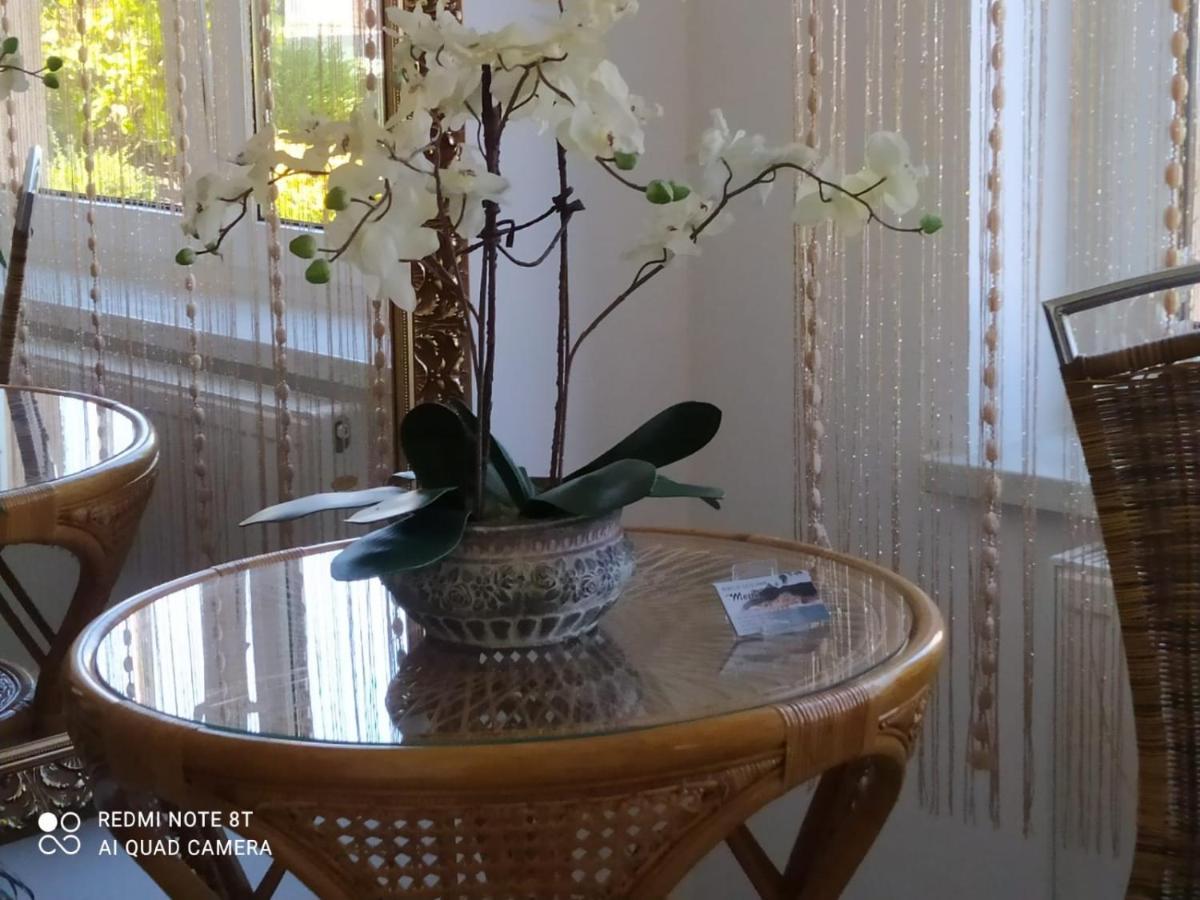 Apartmán Mocik Jastrzębia Góra Exteriér fotografie
